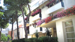 Hotel New Primula Rimini